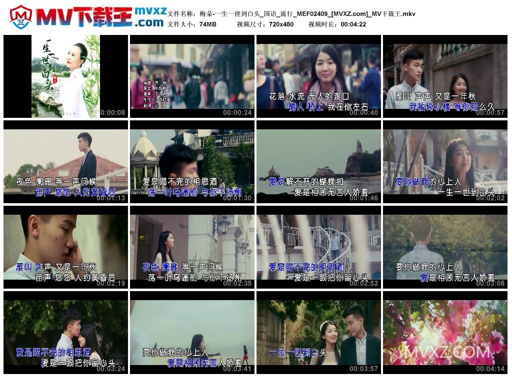 梅朵-一生一世到白头_国语_流行_MEF02409